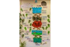 Greenview Nursery Blackburn - Ladybird Room (Babies)
